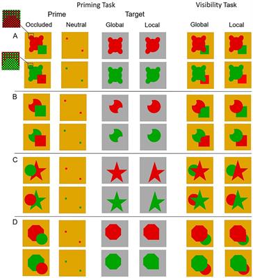Perceptual organization and visual awareness: the case of amodal completion